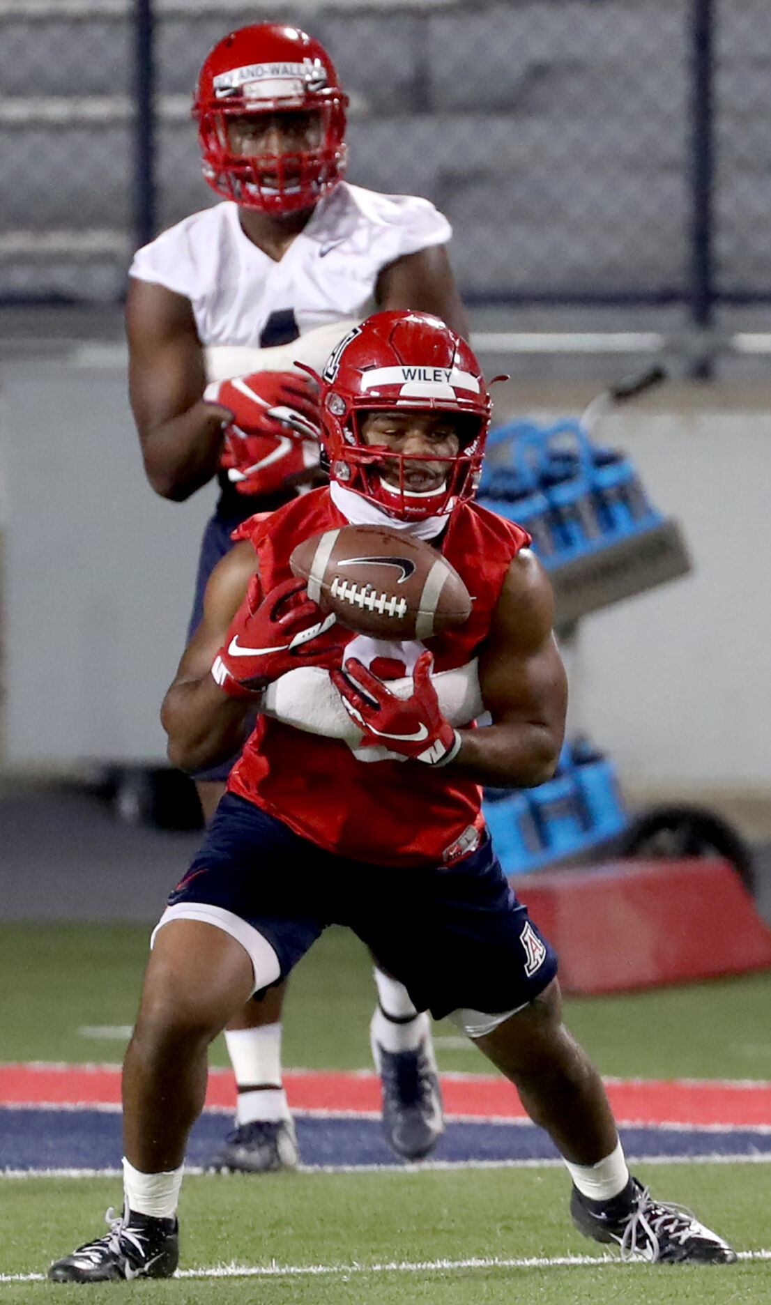 Arizona Wildcats